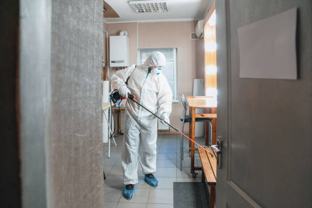 Best Comprehensive Air Testing for Mold Contaminants  in Central High, OK